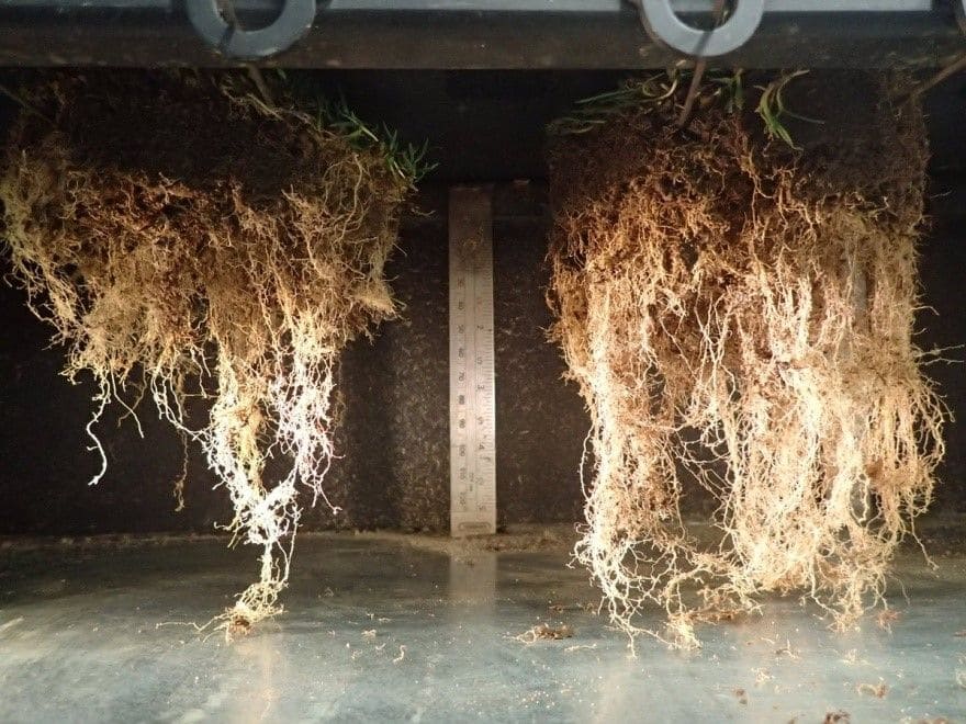 Разница в системах полива