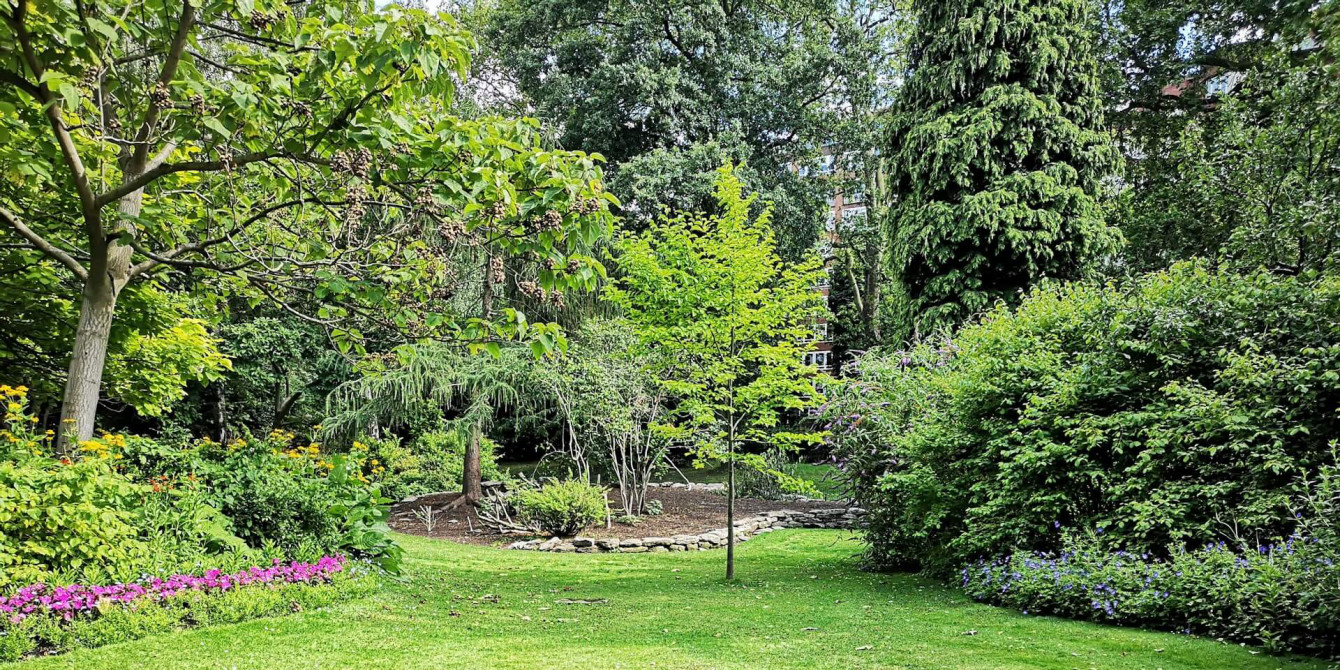 mesto-dlya-peresadki