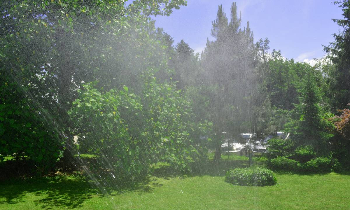 Газон на загородном участке