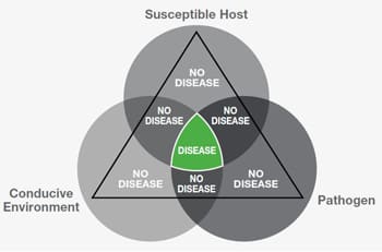 Схема процесса