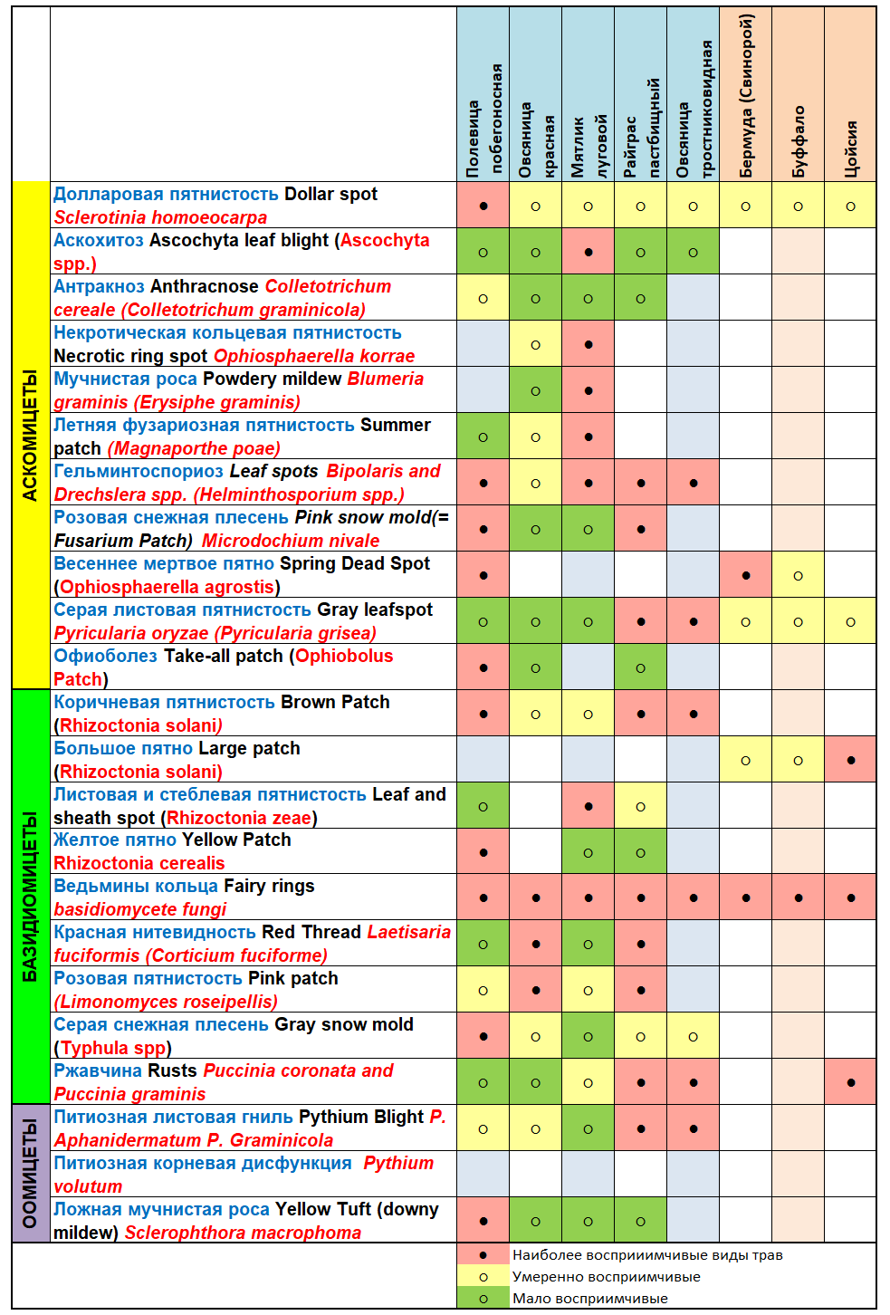 Мятлик и Райграс