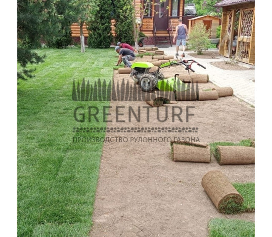 Озеленение территории в Домодедовском районе д. Сонино - фото - 5