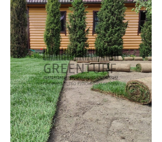 Озеленение территории в Домодедовском районе д. Сонино - фото - 8