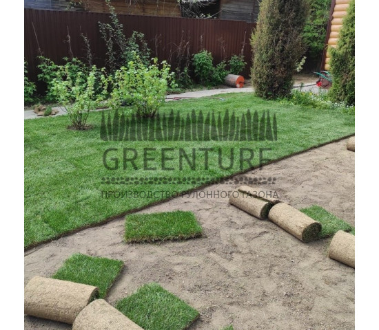 Озеленение территории в Домодедовском районе д. Сонино - фото - 7