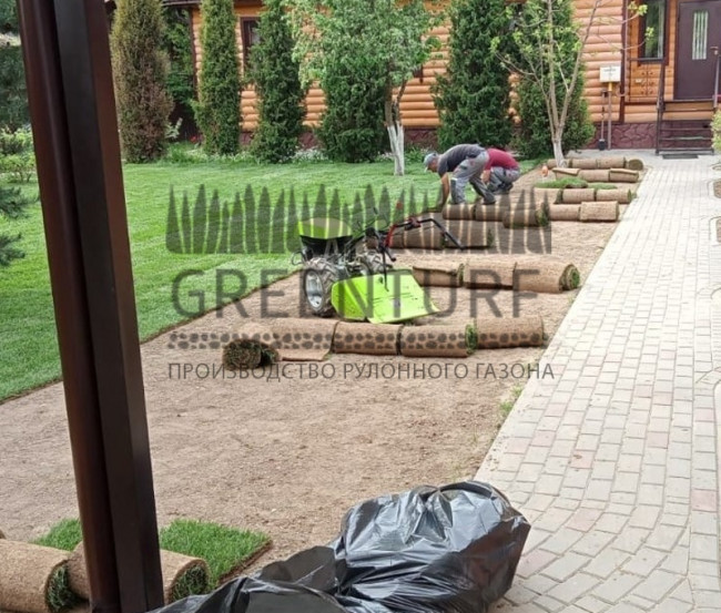 Озеленение территории в Домодедовском районе д. Сонино - фото - 4