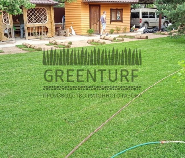 Озеленение территории в Домодедовском районе д. Сонино - фото - 1