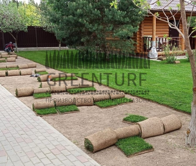 Озеленение территории в Домодедовском районе д. Сонино - фото - 3