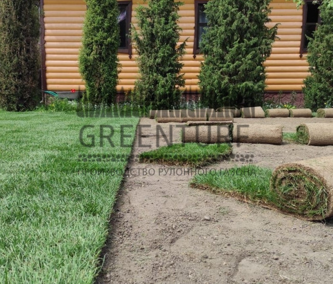 Озеленение территории в Домодедовском районе д. Сонино - фото - 8