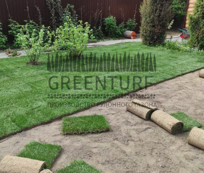 Озеленение территории в Домодедовском районе д. Сонино - фото - 7