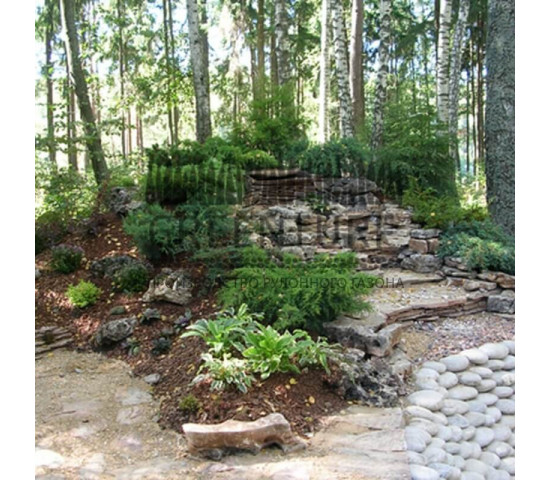 Цветники для участка, рокарии, декоративная отсыпка - фото - 5