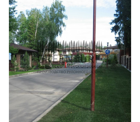 Озеленение коттеджного поселка “La Promenade” - фото - 2