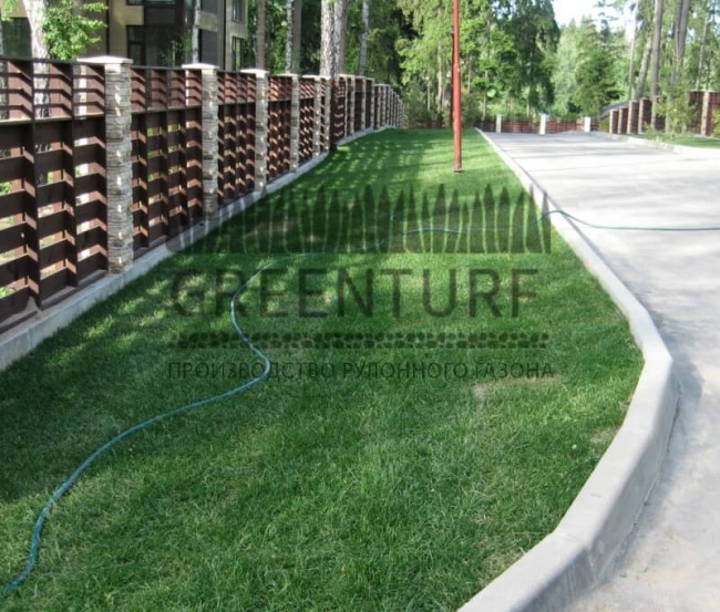 Озеленение коттеджного поселка “La Promenade” - фото - 7