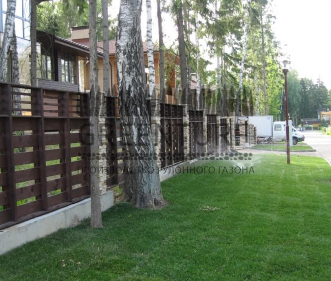 Озеленение коттеджного поселка “La Promenade” - фото - 9