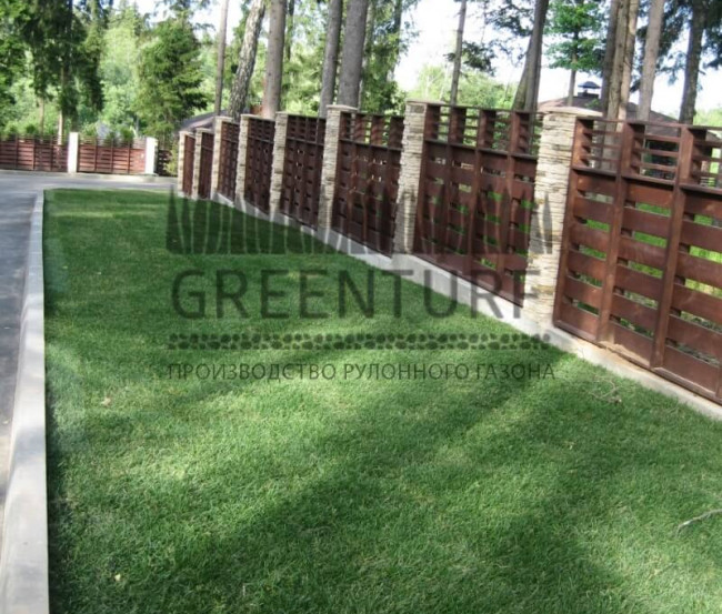 Озеленение коттеджного поселка “La Promenade” - фото - 11