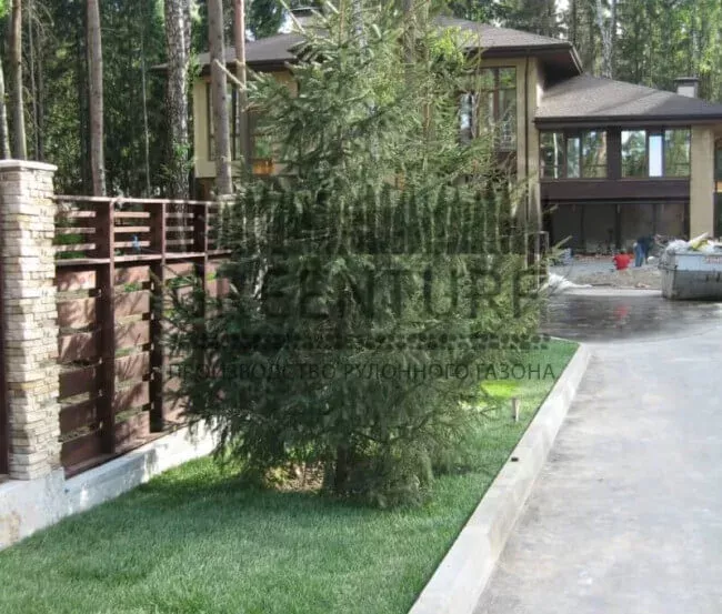 Озеленение коттеджного поселка “La Promenade” - фото - 13