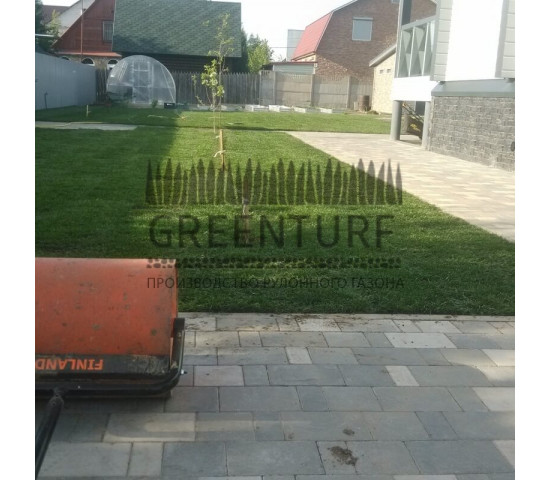 Укладка рулонного газона, д. Михеево - фото - 1