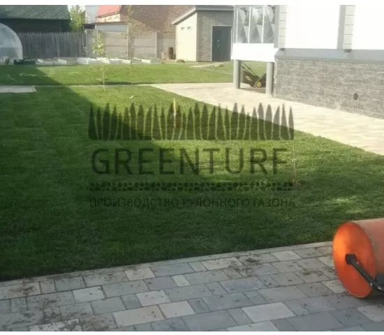 Укладка рулонного газона, д. Михеево - фото - 5