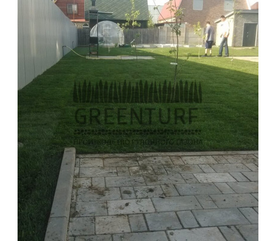 Укладка рулонного газона, д. Михеево - фото - 4