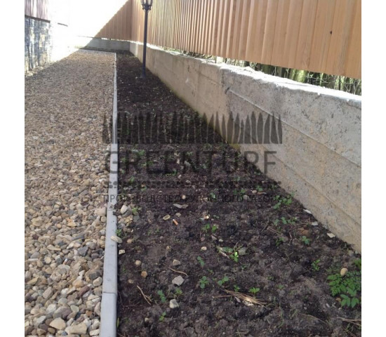 Укладка рулонного газона, сорт «Партерный» - фото - 2