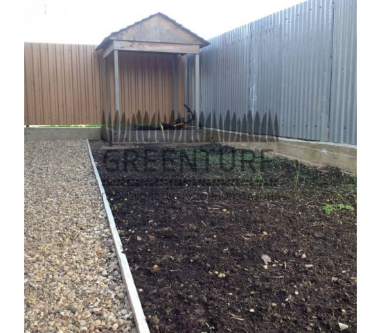 Укладка рулонного газона, сорт «Партерный» - фото - 3