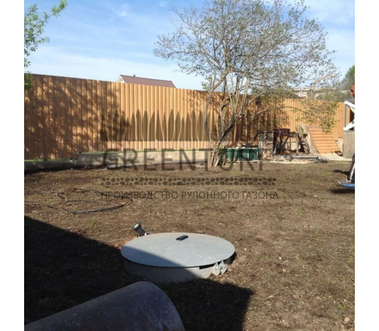 Укладка рулонного газона, сорт «Партерный» - фото - 6