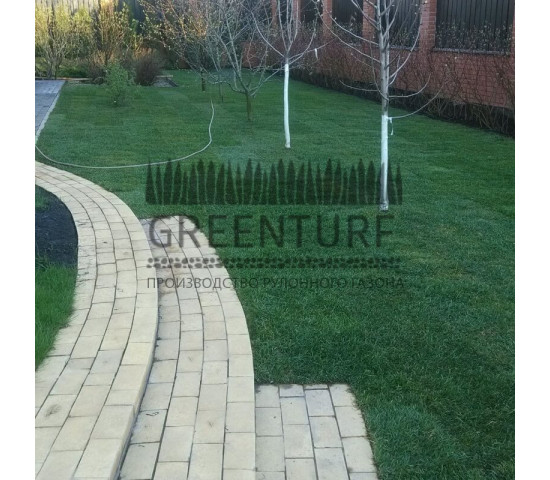 Укладка рулонного газона в деревне Крекшино - фото - 14