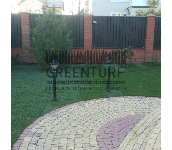 Укладка рулонного газона в деревне Крекшино - фото - 15