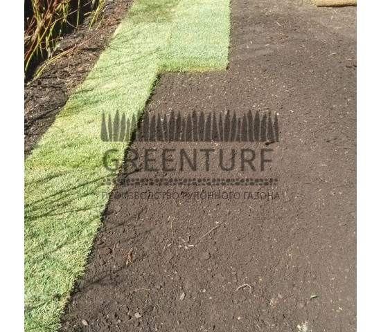 Укладка рулонного газона в деревне Крекшино - фото - 7