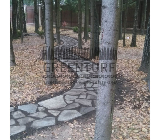 Озеленение и благоустройство территории - фото - 2