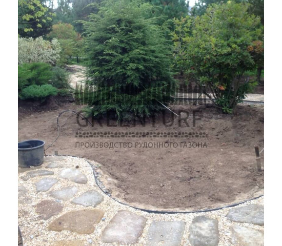 Устройство рулонного газона в коттеджном поселке - фото - 8