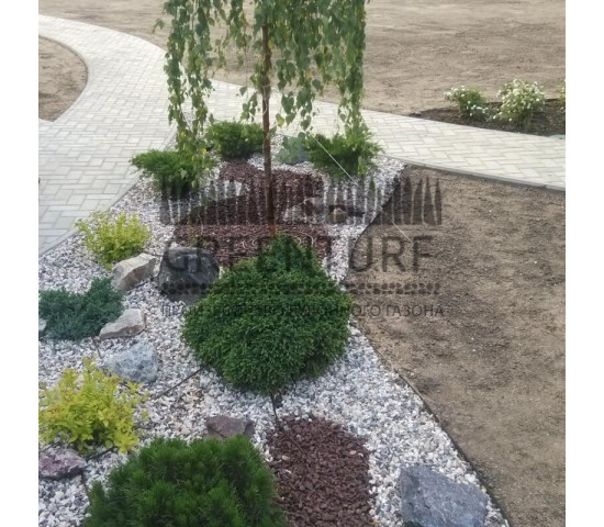 Озеленение участка загородного дома - фото - 19