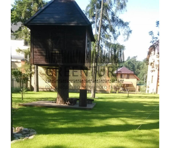 Озеленение частного домовладения - фото - 17