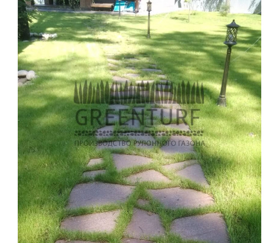 Озеленение частного домовладения - фото - 19