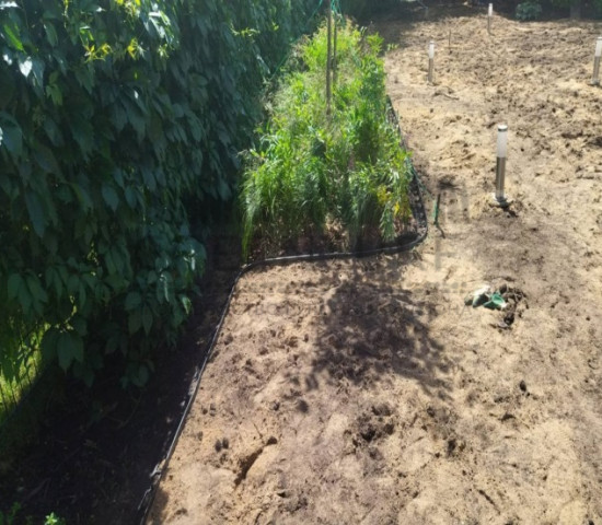 Устройство пошаговой дорожки, КП Изумрудный - фото - 4