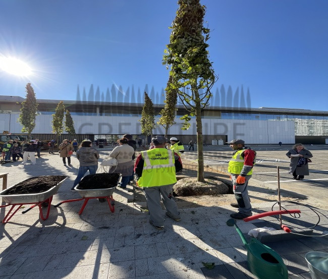 Благоустройство ТРЦ 