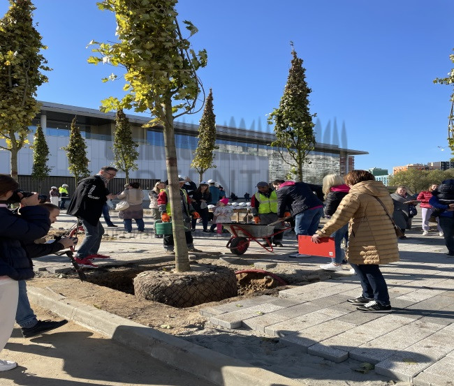 Благоустройство ТРЦ 