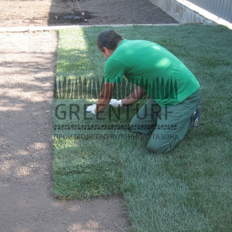 Укладка рулонного газона на готовое основание - фото - 1