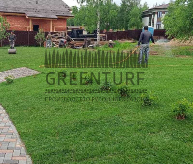 Озеленение территории Руза Фэмили Парк - фото - 4